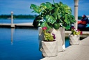 301776_301844_flower-pots.jpg