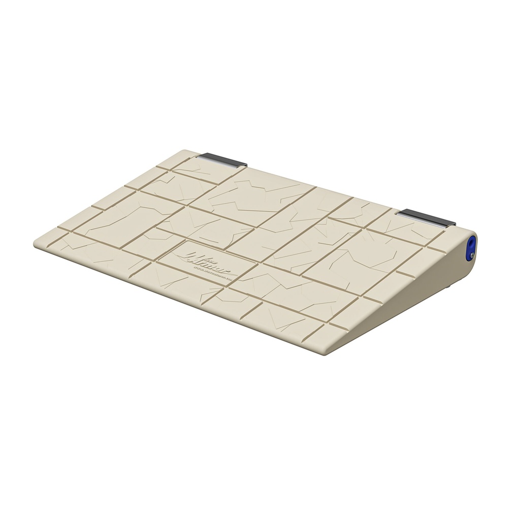 40″ GANGWAY RAMP